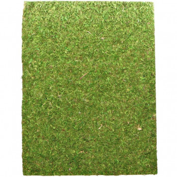 Фон з натурального моху Repti-Zoo Natural Moss Back & Bottom 20x30см 2 шт (NCM3020) для тераріуму