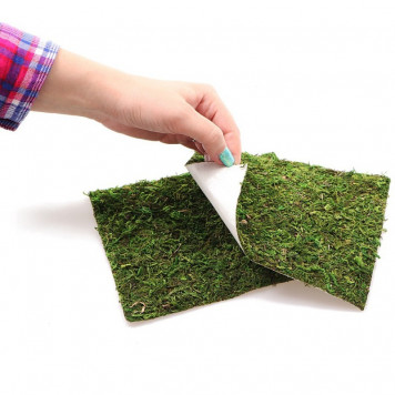 Фон з натурального моху Repti-Zoo Natural Moss Back & Bottom 45x45см 2 шт (NCM4545) для тераріуму-4