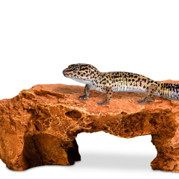 Декорація криївка Terrario Mountain Shelf M 22x17x8,5см (23188)-2
