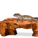 Декорація криївка Terrario Mountain Shelf M 22x17x8,5см (23188)