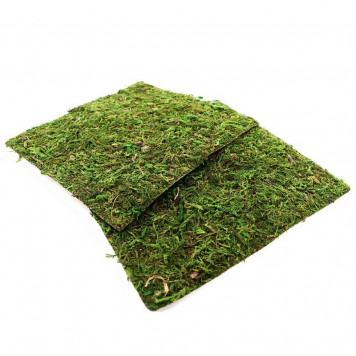 Фон з натурального моху Repti-Zoo Natural Moss Back & Bottom 20×20см 2 шт (NCM2020) для тераріуму-4