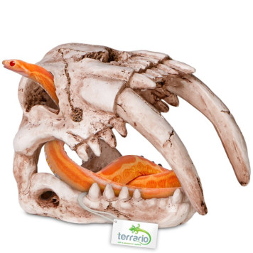 Декорація череп тигра Terrario Sabertooth Skull 13x8,5x11см (15911)-6