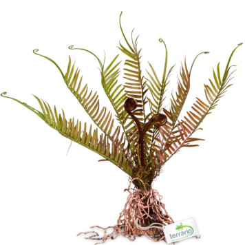 Штучна рослина, папороть Terrario 40x14x41см (332)-3