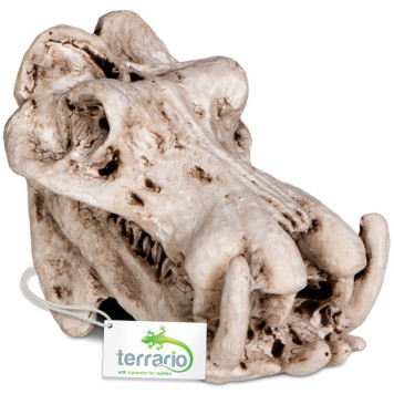 Декорація череп бегемота Terrario Hippo Skull 5x3x3см (533)-3
