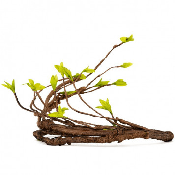 Ліана дерево Repti-Zoo Jungle Tree-liana 100см (RV0410)-6