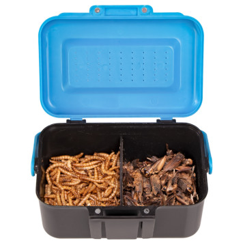 Подвійний контейнер для живого корму Terrario Live Food Box 13x9x7см-7