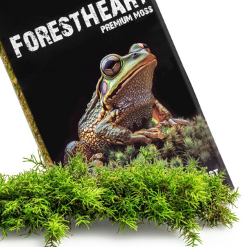Натуральний мох торф’яний Terrario ForestHeart Sphagnum Moss 100г для тераріумів та орхідей-9
