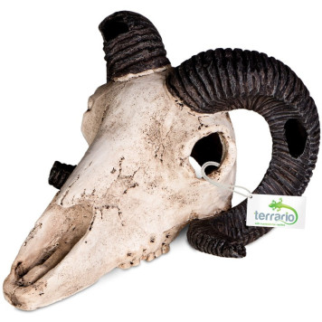 Декорація череп барана Terrario Ram Skull 19x16x11см (191712)-4