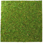 Фон з натурального моху Repti-Zoo Natural Moss Back & Bottom 45x45см 2 шт (NCM4545) для тераріуму