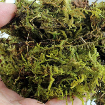 Сфагновий мох Repti-Zoo Sphagnum Moss 100 г (4,5 л) з Чилі для тераріумів і рослин-4