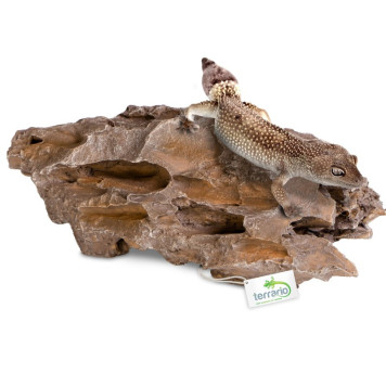 Декорація укриття Terrario Dragon Stone S 22x12x7см (22127)-7