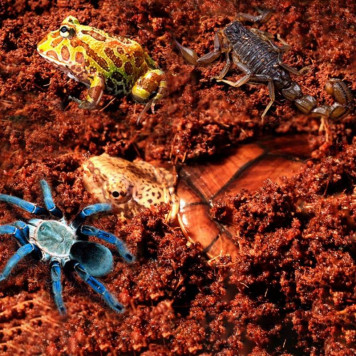 Тропічний субстрат Komodo Tropical Terrain 6 л (U46015) для терраріумів із високою вологістю-4