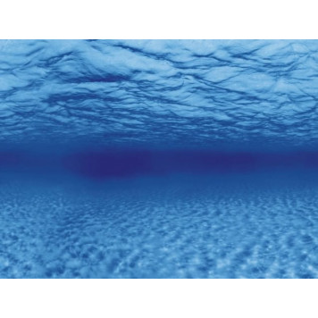 Акваріумний задній фон Aqua Nova Синє море/Камені з корчами 100x50см (TREE ROOTS/WATER L)-3