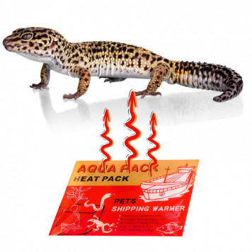 Грілка для рук і транспортування тварин Aqua Heat Pack 40H 'Gold'-6