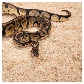 Субстрат з тополі Repti-Zoo Aspen Snake Bedding 2,4 л (SB001) для змій та копаючих рептилій-4