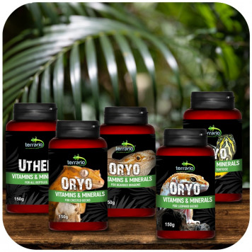 Вітаміни для війкового гекона бананаїда Terrario ORYO for Crested Gecko 150г-2