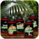 Вітаміни для війкового гекона бананаїда Terrario ORYO for Crested Gecko 150г
