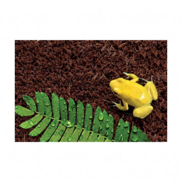 Підкладка з кокосового волокна Repti-Zoo Coconut fiber Substrate 4л (SB650S)-6