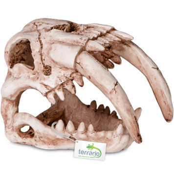 Декорація череп тигра Terrario Sabertooth Skull 13x8,5x11см (15911)-7