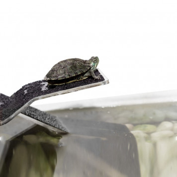 Рампа і острів для черепахи Repti-Zoo S 20x10x14см (TB05S)-3