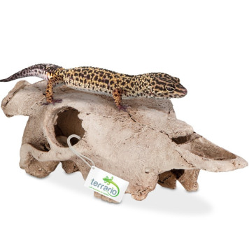 Декорація череп буйвола Terrario Buffalo Skull 21x12x8см (22128)-2