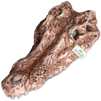 Декорація череп крокодила Terrario Crocodile Skull 30x14x9см (A15911)-3