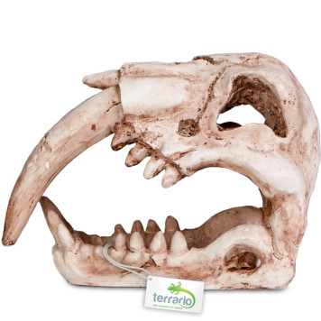 Декорація череп тигра Terrario Sabertooth Skull 13x8,5x11см (15911)-4
