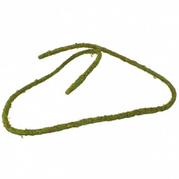Ліана гнучка з натуральним мохом для тераріуму Repti-Zoo Artificial Moss Vine 1,5см x 2м (RV0215)-2