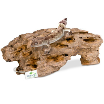 Декорація укриття Terrario Dragon Stone M 22x15x8см (23149)-4