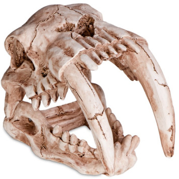 Декорація череп тигра Terrario Sabertooth Skull 13x8,5x11см (15911)-5
