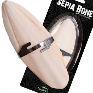 Сепія для черепах, природний вапняк для рептилій Terrario Sepia Bone 10-15см-1