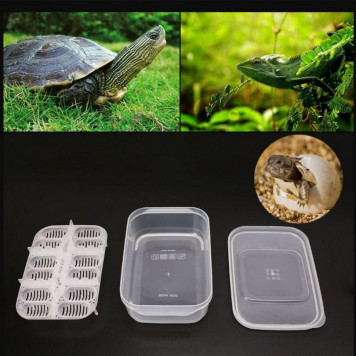 Інкубатор пластиковий Terrario EggIncubator на 12 яєць для рептилій і дрібних птахів-7