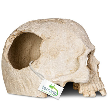 Декорація череп людини Terrario Human Skull 14x11x11см (151211)-5
