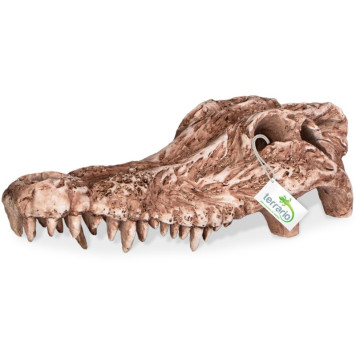 Декорація череп крокодила Terrario Crocodile Skull 30x14x9см (A15911)-2