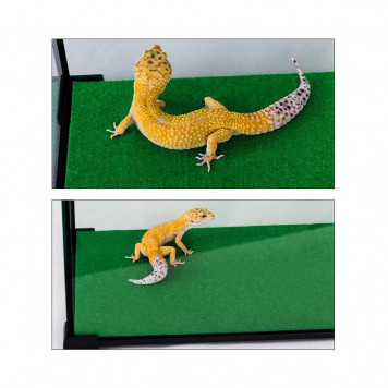 Килимок-субстрат Repti-Zoo Carpet Mat 60x45 см (EC02) для тераріуму, пустельних і тропічних рептилій-5