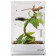 Тераріум Repti-Zoo Acrylic Terrarium 20x20x30см (PACR10)