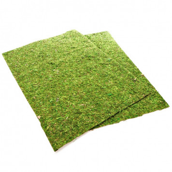 Фон моховий Repti-Zoo Natural Moss Back & Bottom 60x45см 2шт. (NCM6045)-4