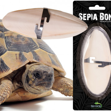 Сепія для черепах, природний вапняк для рептилій Terrario Sepia Bone 10-15см-6