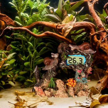 Декорація Yusee Aquarium Decor Thermometer з термометром LCD 14X6X11см (ys201030)-4