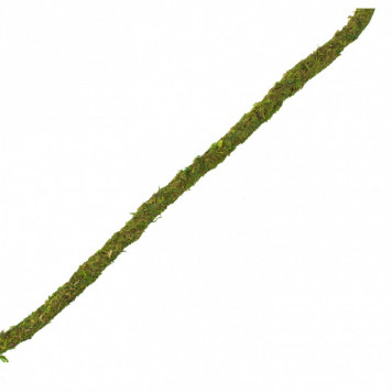 Ліана гнучка з натуральним мохом для тераріуму Repti-Zoo Artificial Moss Vine 1,5см x 2м (RV0215)