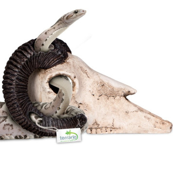 Декорація череп барана Terrario Ram Skull 19x16x11см (191712)-2