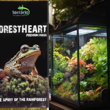 Натуральний мох торф’яний Terrario ForestHeart Sphagnum Moss 100г для тераріумів та орхідей-3