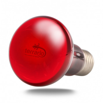 Інфрачервона нагрівальна лампа Terrario Nangola Red Night Light 50W-1