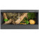 Тераріум для нічних рептилій Repti-Zoo Night Reptile Terrarium 90x45x45см (TSL904545)