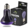 Нічна лампа з підігрівом Terrario Manguna Moonlight Lamp 50W для тераріумів без UVA
