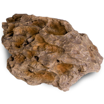 Декорація укриття Terrario Dragon Stone M 22x15x8см (23149)-3