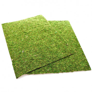 Фон з натурального моху Repti-Zoo Natural Moss Back & Bottom 50x25см 2 шт (NCM5025) для тераріуму-5