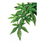 Штучна рослина Repti-Zoo Velvetleaf 40см (TP003)