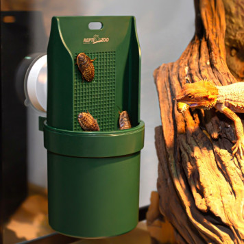 Підвісна годівниця для рептилій Repti-Zoo Arboreal Feeding Dish 20см (ERB28)-7
