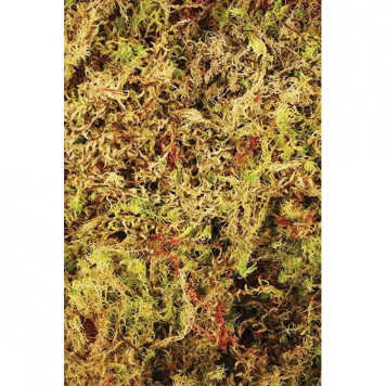 Живий мох Komodo Habitat Moss 100г 4.5л (83030)-1